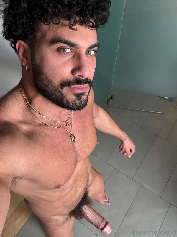 dantheestud