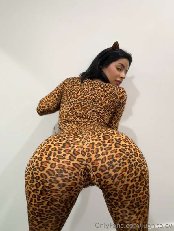 rawr 🐆