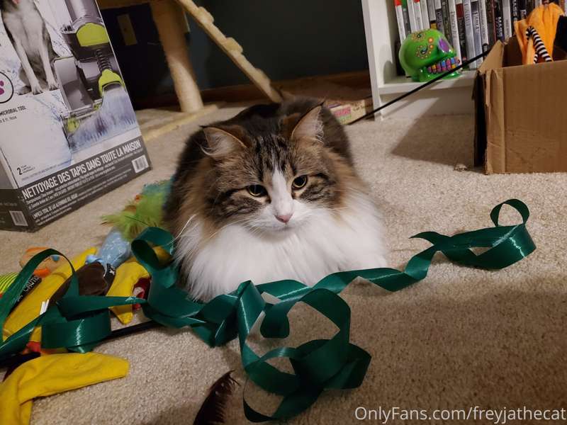 It's mid February and I'm still playing with the present my ..