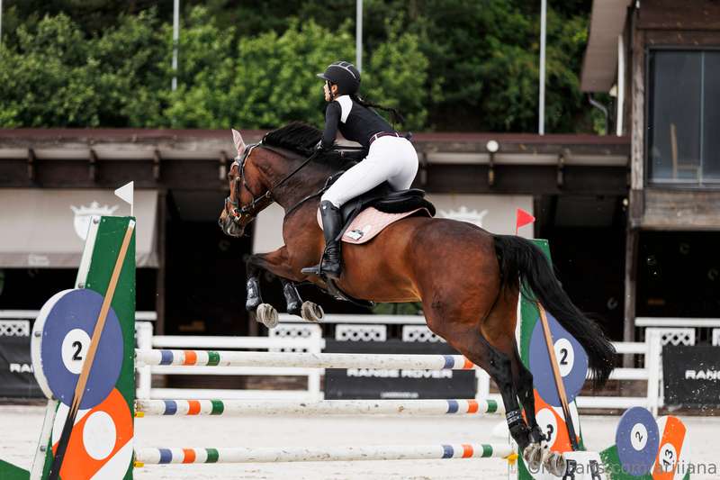 Let me introduce my new horse - Saphira - new star⚡️She is r..