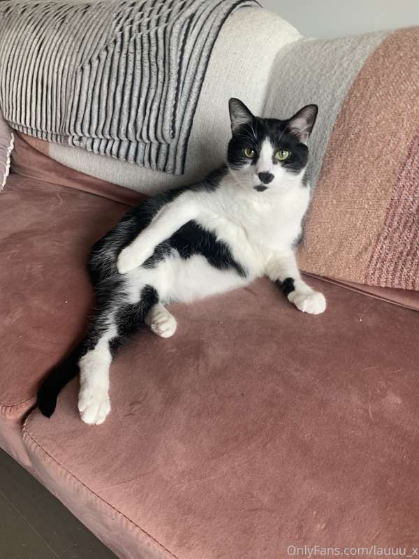 Dunkin says “see? I can be sexy too!!”