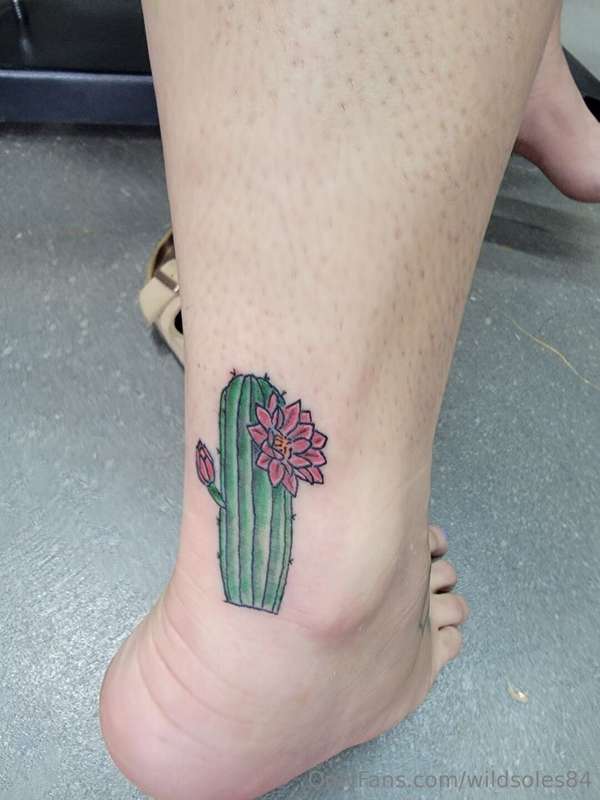 media