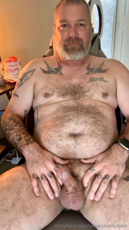 vegasdaddybear image #1