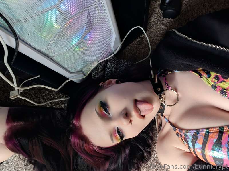 bunnicrypt image #8