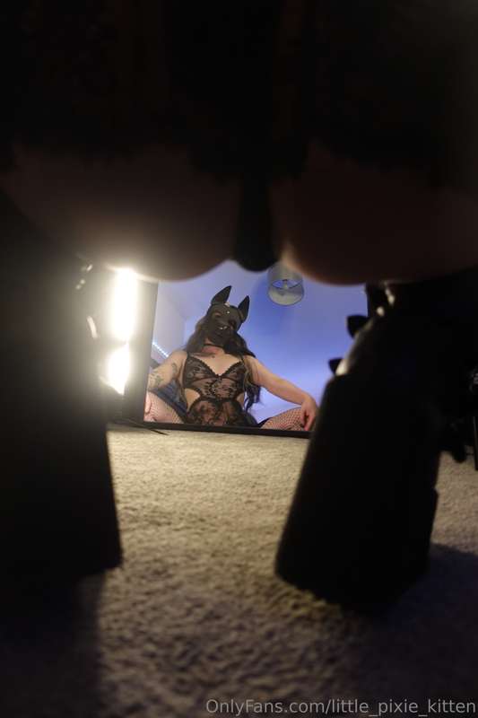 little_pixie_kitten image #2