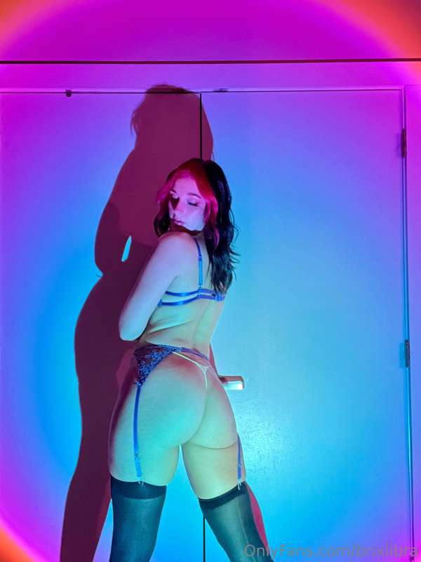 brixlibra image #2