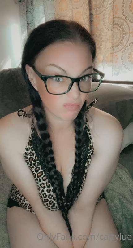 cattylue image #3