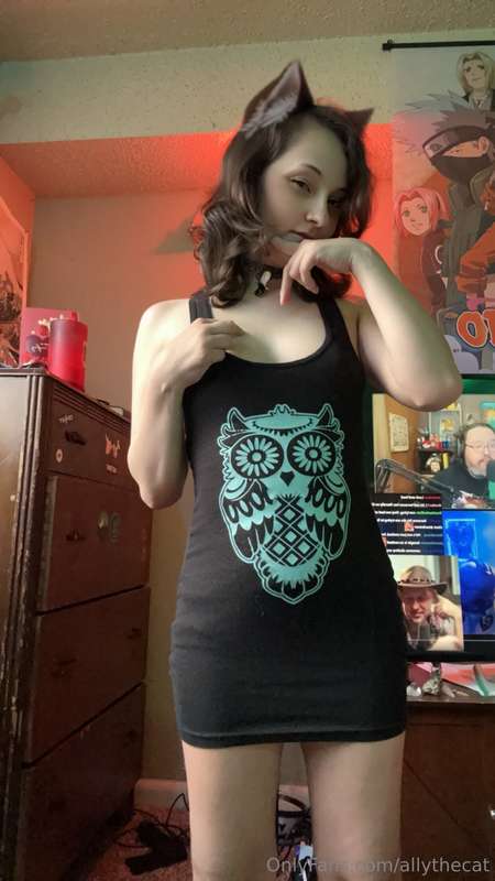 allythecat