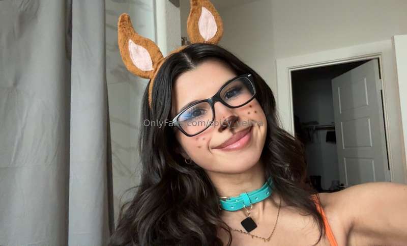 🐶