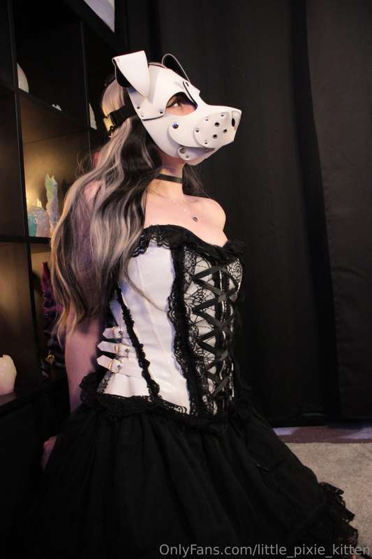 little_pixie_kitten image #17