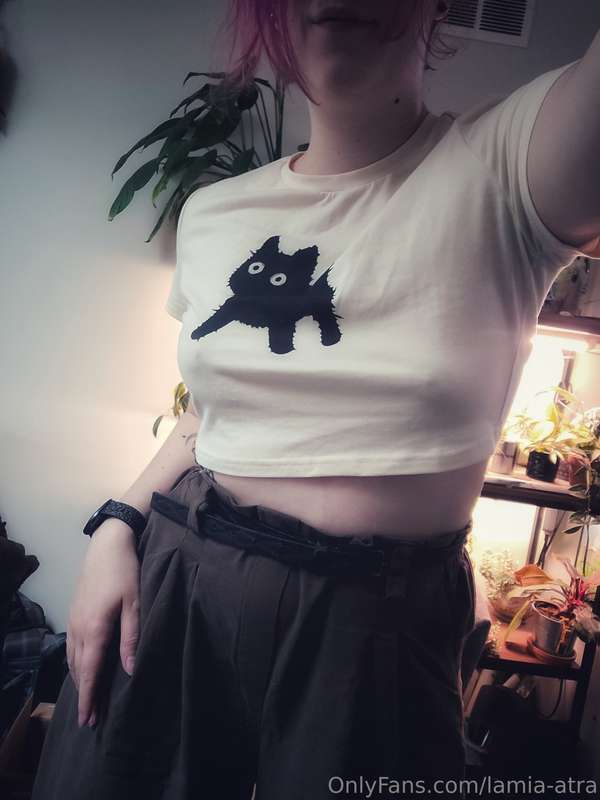 Do you like my new shirt? 😽