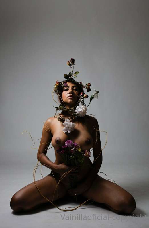 vainillashibari image #1