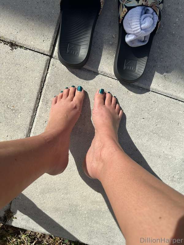 Foto 683 de Dillion Harper en Tocromo
