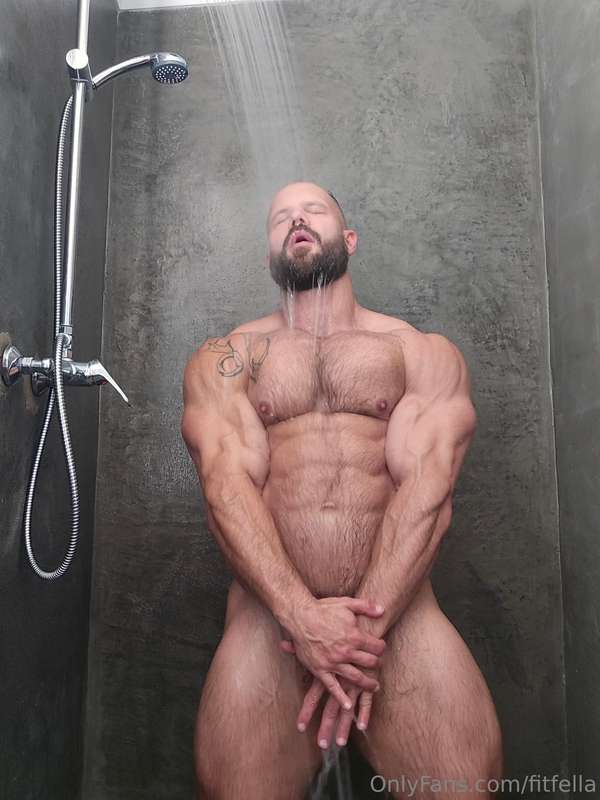 fitfella