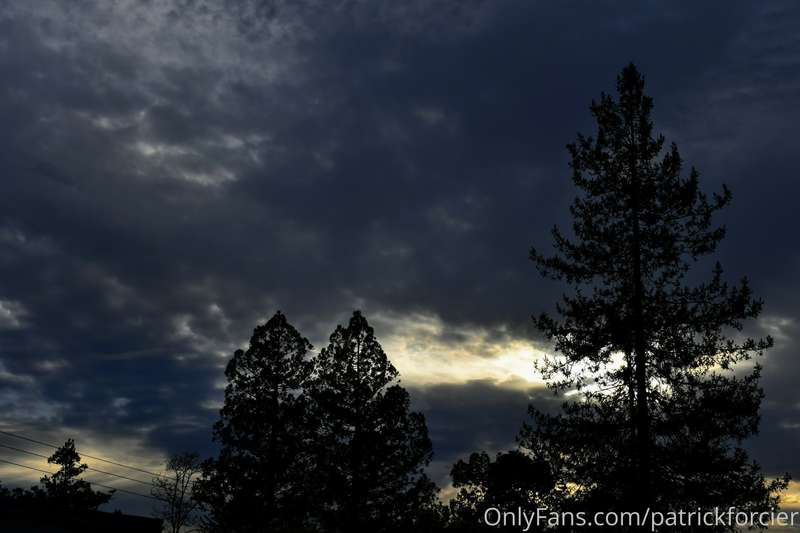 patrickforcier image #30