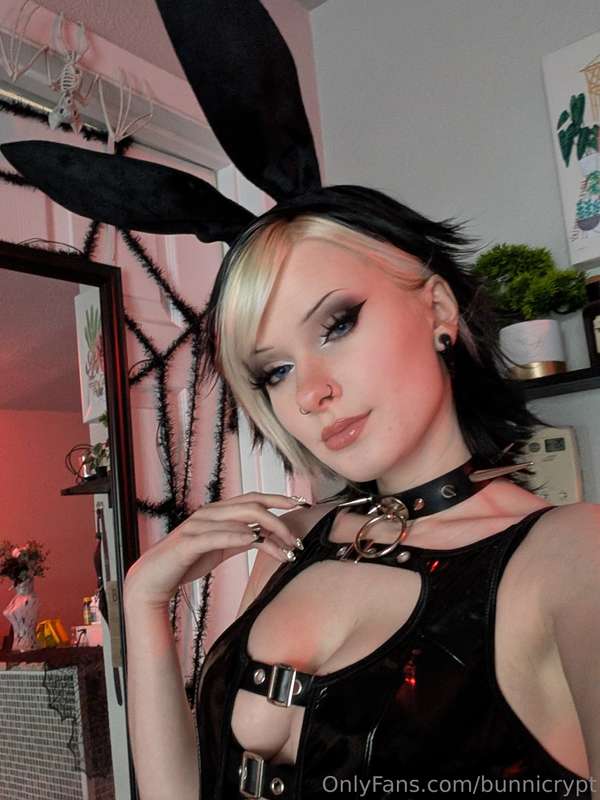 bunnicrypt image #7