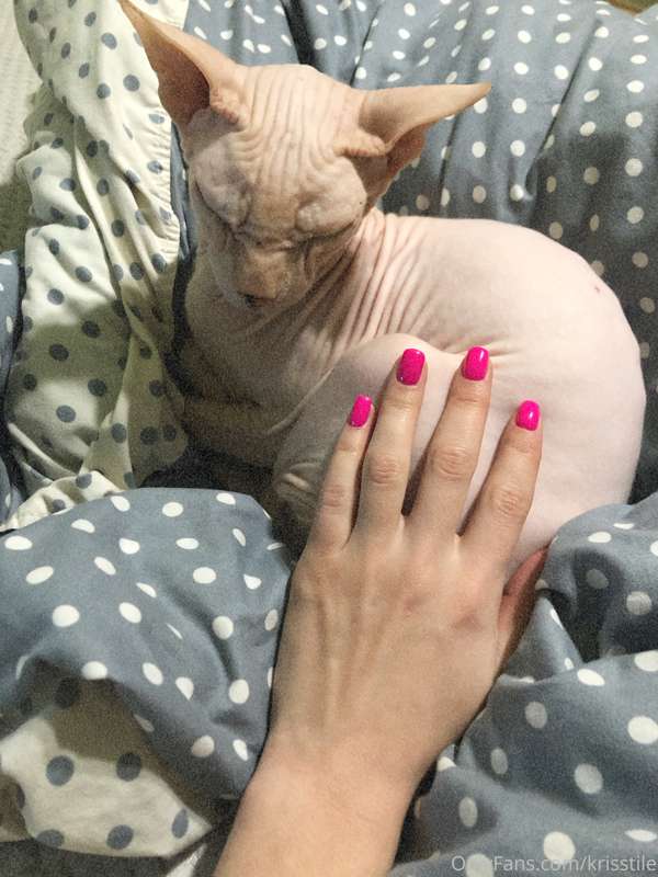 my cat Ramses🐈