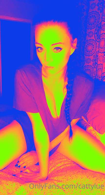 cattylue image #2