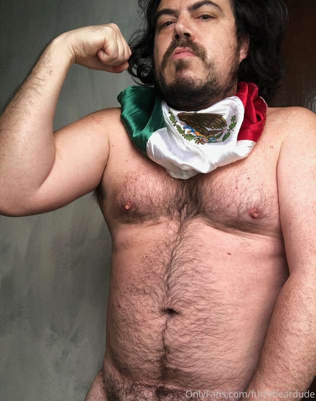 furrybeardude