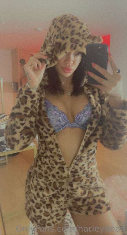 Photo 346 of Harley Dean on Tocromo