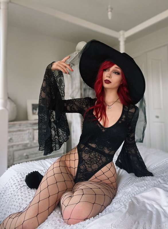 pixiecat image #11