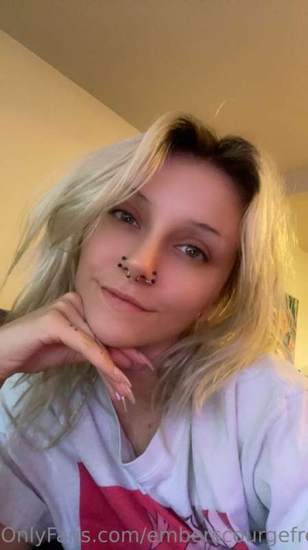 Should I post more photosets?