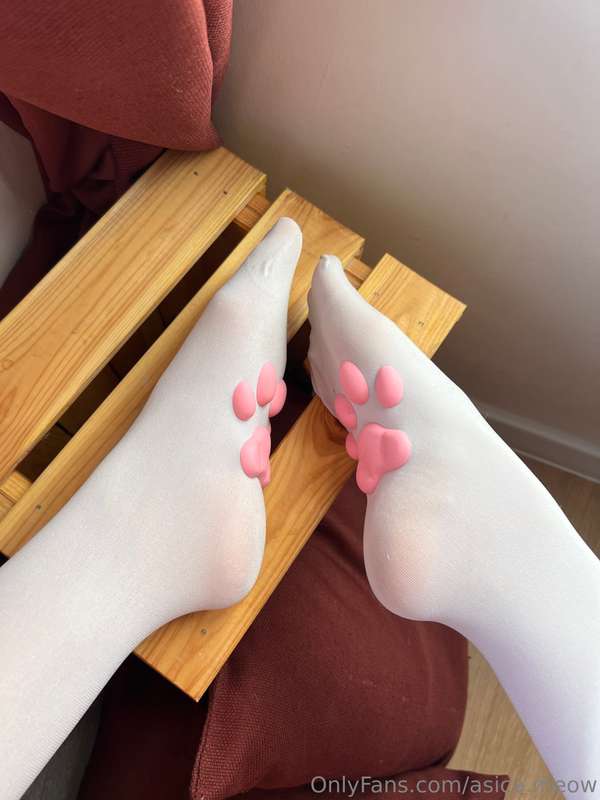 asica.meow