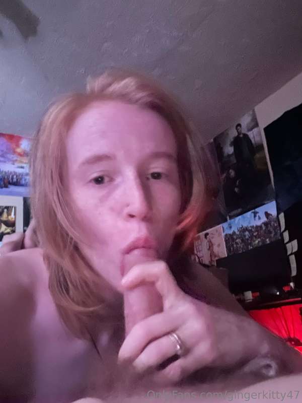 gingerkitty47 image #0