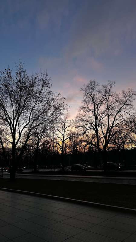 media