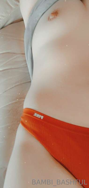 bambi_bashful