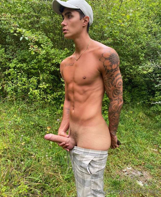 media