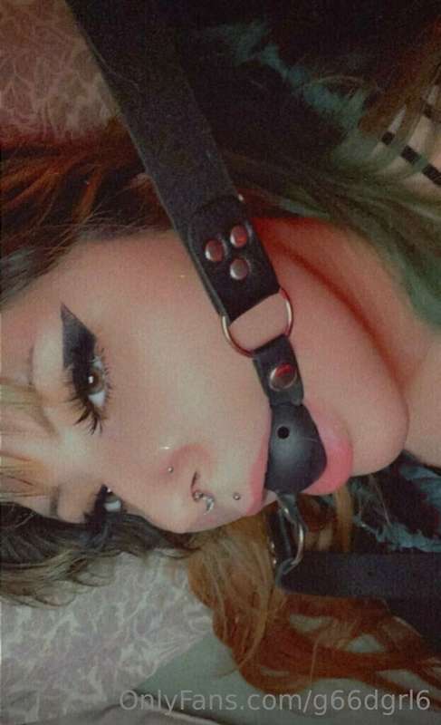 g66dgrl6