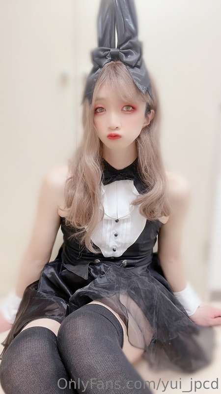 🐰🐰🐰