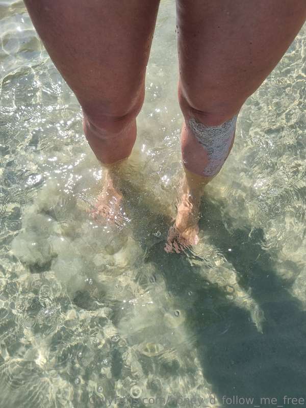 honey_d_follow_me_free