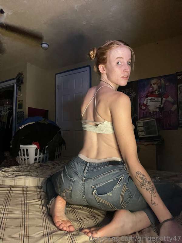 gingerkitty47 image #11