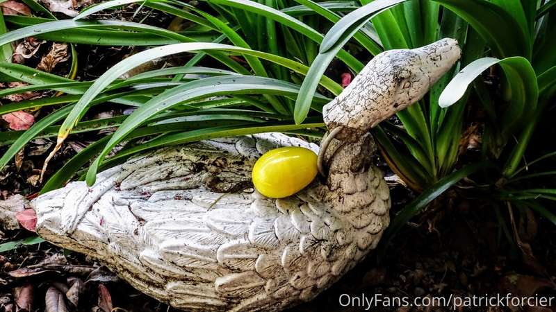 Hope Everyone Had an Amazing Easter and was able to spend it..
