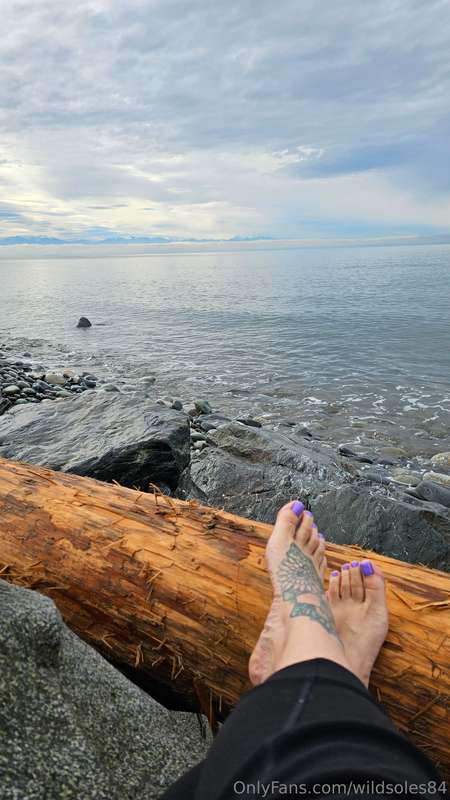 Little adventure to get my hair done in Washington state .  ..