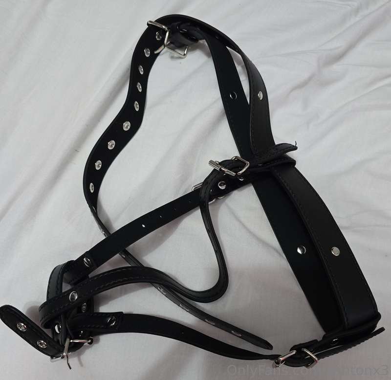My new hands free orgasm belt has arrived. Now I can attach ..