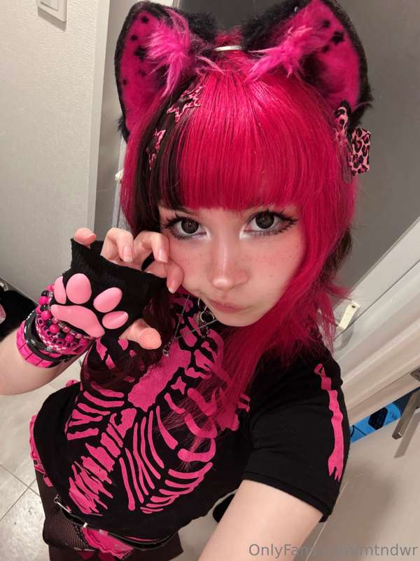 im a kitty up for adoption i need a safe n loving home (this..