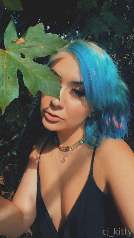 media