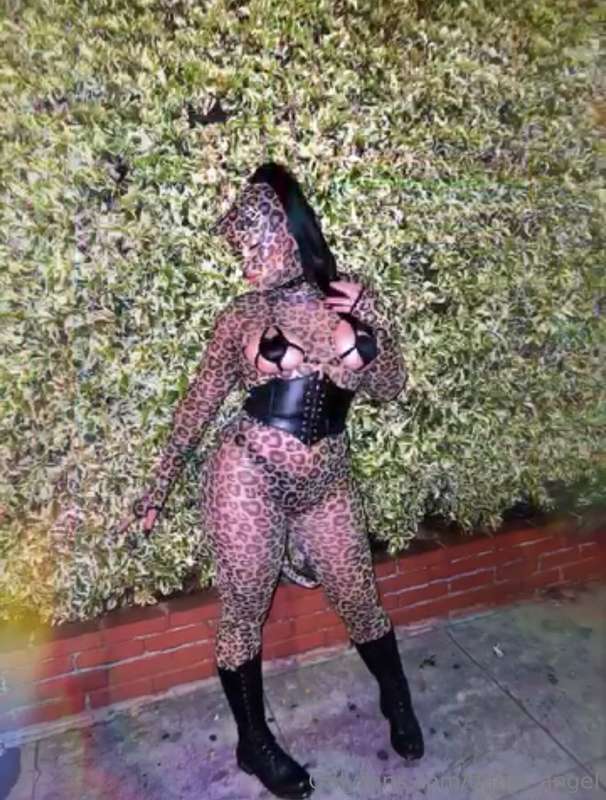 Spooky szn is here 👻🔥 What costume would you love to see me ..