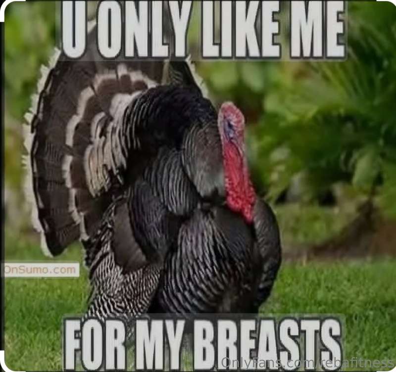 rebafitness