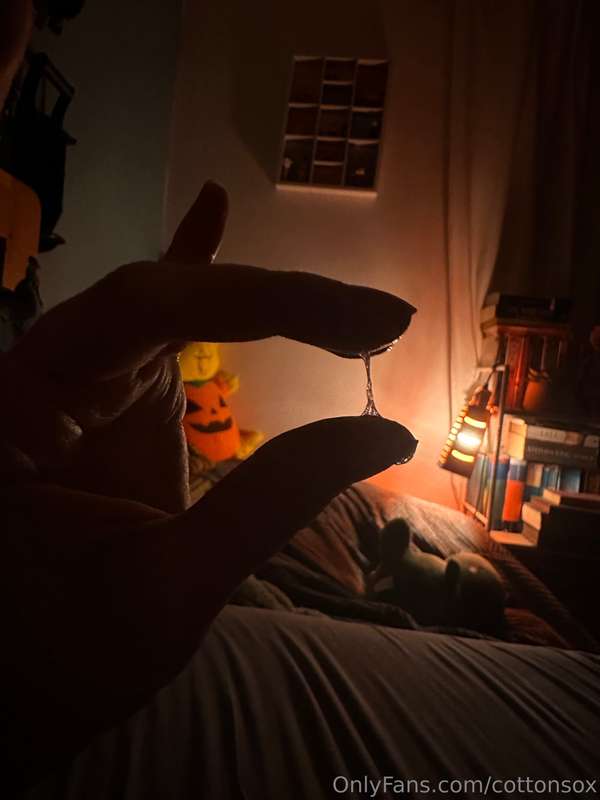 cottonsox photo
