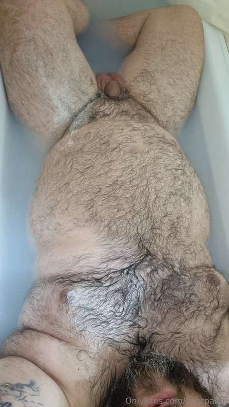 bearpamp