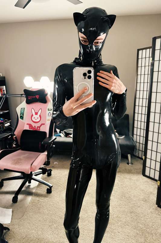 catboiaoi image #2