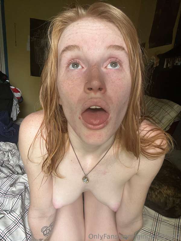 gingerkitty47 image #0