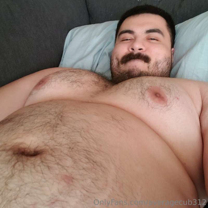 averagecub312 image #3