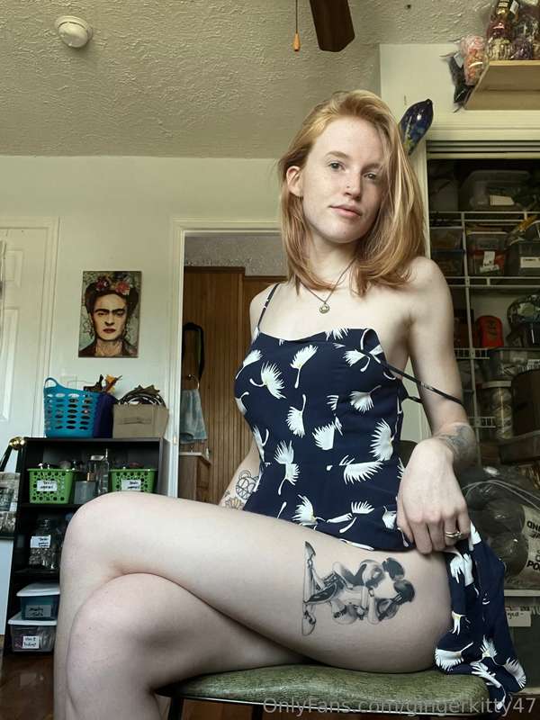 gingerkitty47 image #5