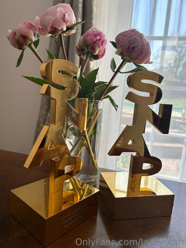 Massive thank you to all of you who voted for me for the SNA..