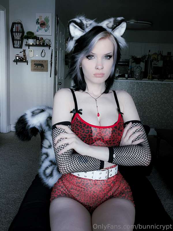 bunnicrypt image #7